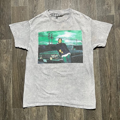 Ice cube graphic tee mens - cube,
