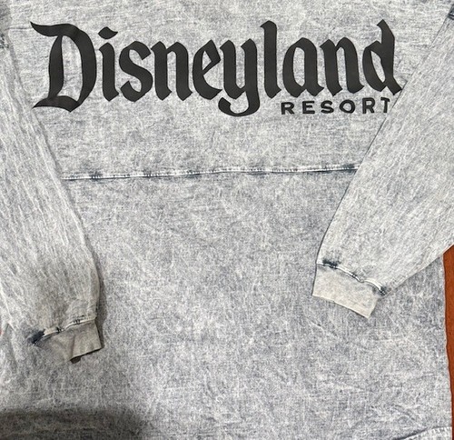 Disneyland spirit jersey gray - disneyland,